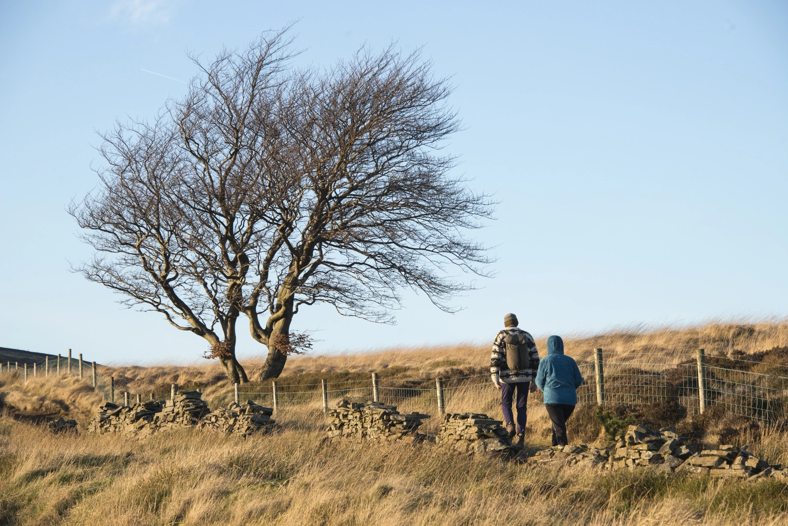 An image depicting the trail Etherow Goyt Valley Way and its surrounding area.