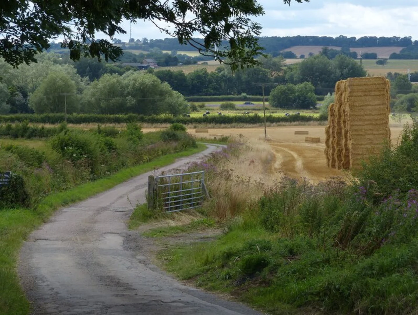 An image depicting the trail Brockhall and Grand Union Canal Walk and its surrounding area.