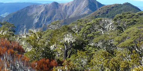 An image depicting the trail Lodestone Track and its surrounding area.