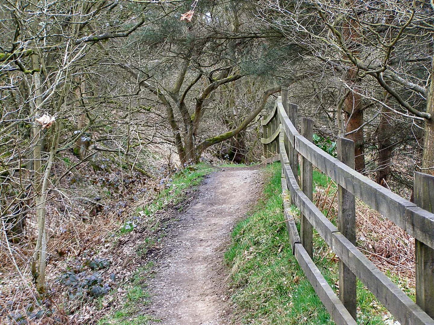 An image depicting the trail River Irwell and Philips Park Loop - Prestwich and its surrounding area.