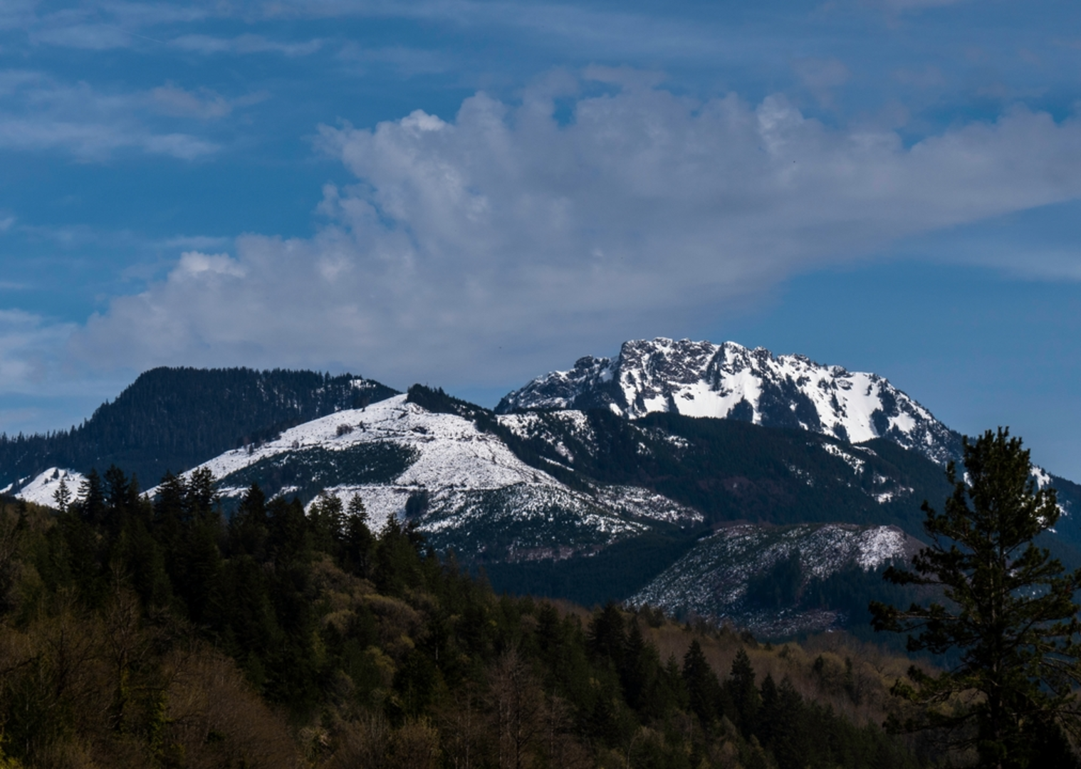 An image depicting the trail Sauk Mountain Trail and its surrounding area.