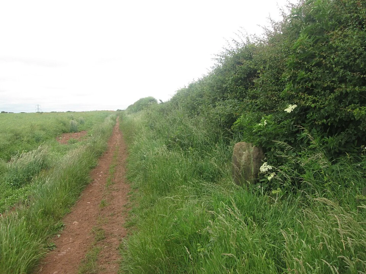 An image depicting the trail Knowle Hill Equestrian and Robin Wood Loop and its surrounding area.