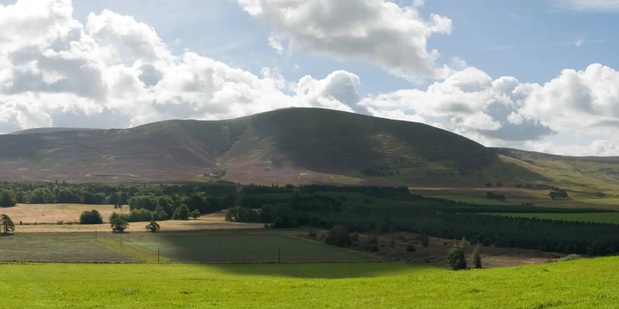 An image depicting the trail Tinto Hill and Lochlyoch Hill Loop and its surrounding area.