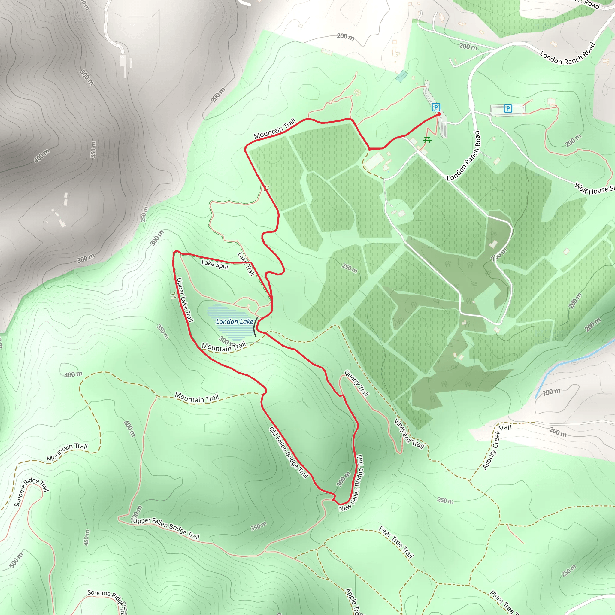 London Lake - Old Fallen Bridge Trail mobile static map