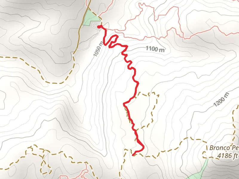 Bronco Peak Connector Trail