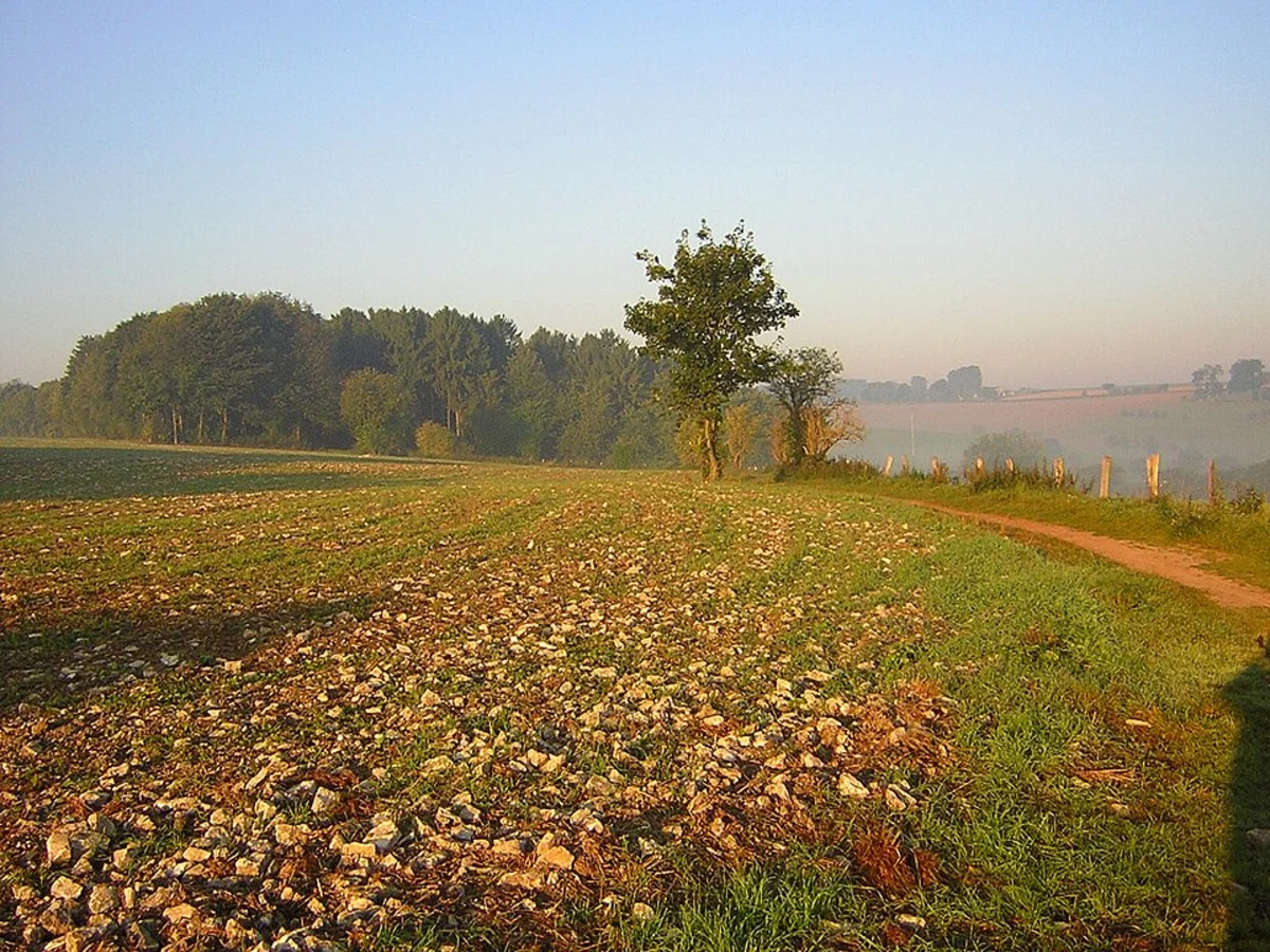 Gehlberg to Geschwenda via Geraberger Rundwanderweg