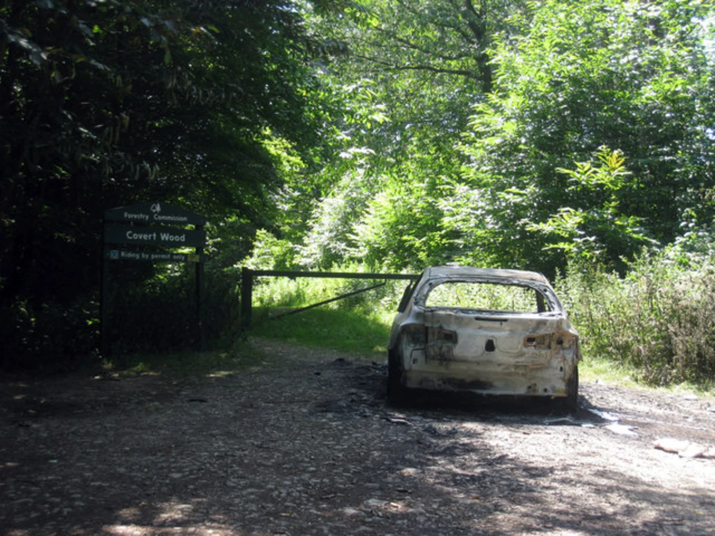 An image depicting the trail Covert Wood Loop and its surrounding area.