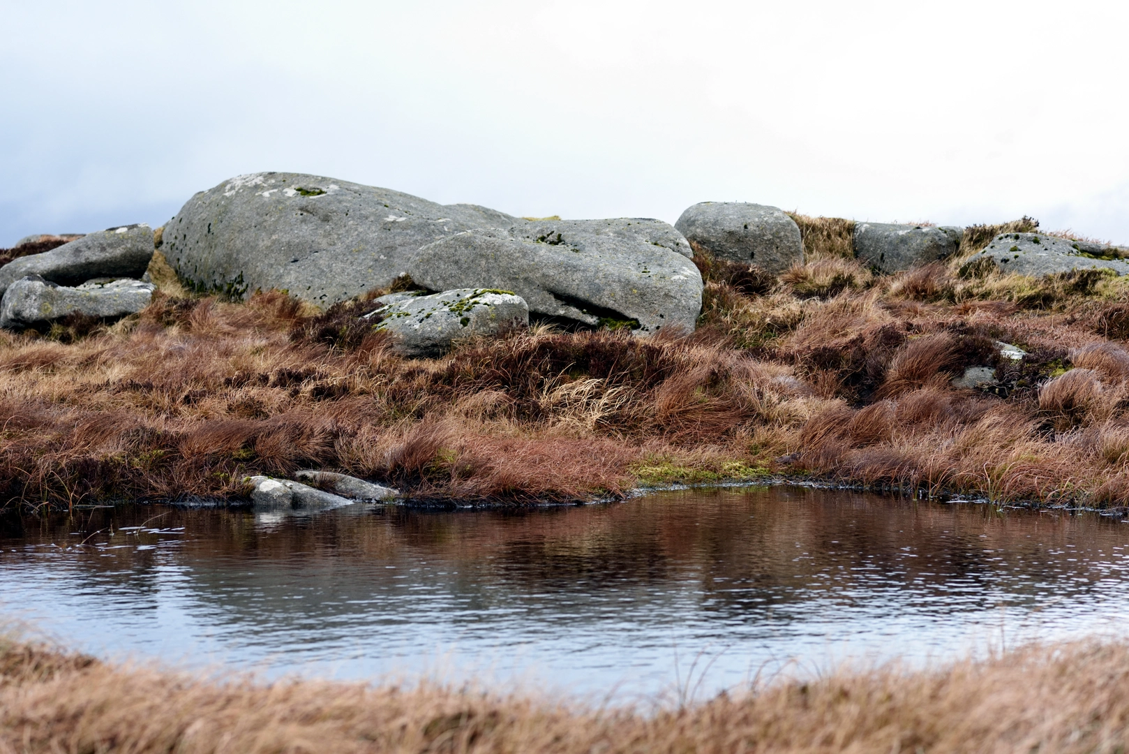 An image depicting the trail Sorrel Hill Gap to Carrigvore and its surrounding area.