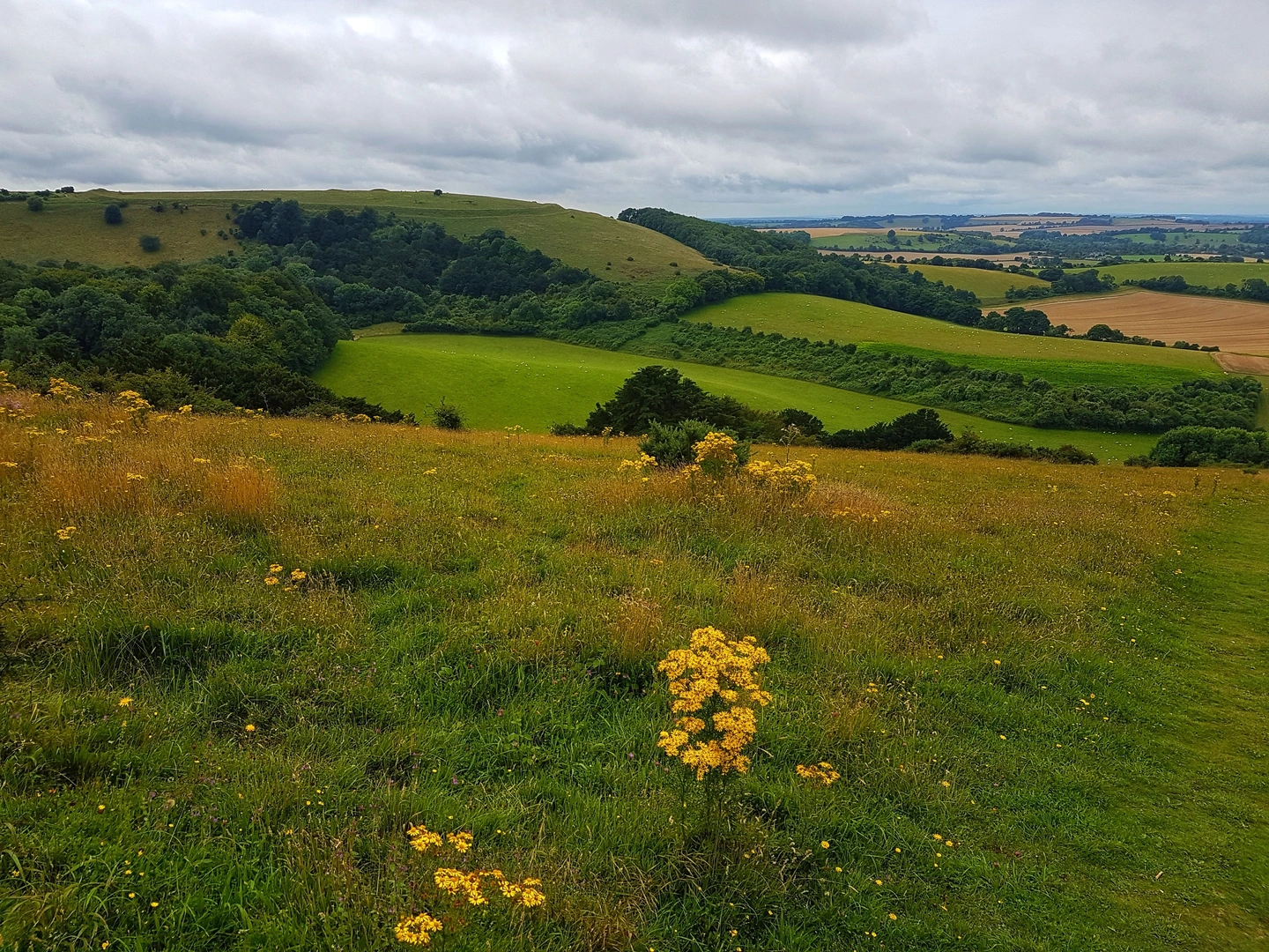 An image depicting the trail St James Way and its surrounding area.