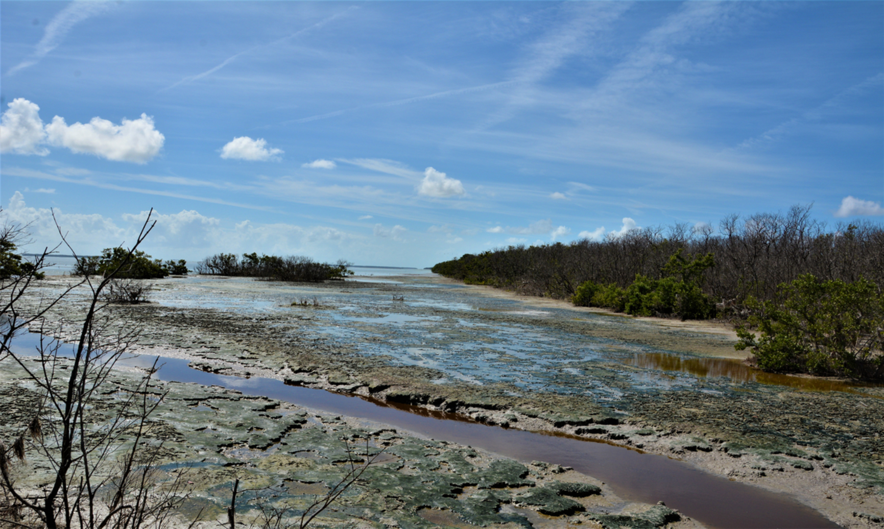 An image depicting the trail Snake Bight Trail and its surrounding area.
