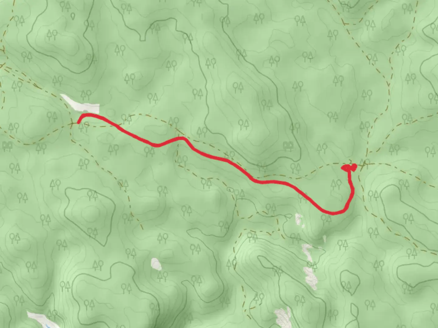 An image depicting the trail Jarrahdale Balmoral Trail and its surrounding area.