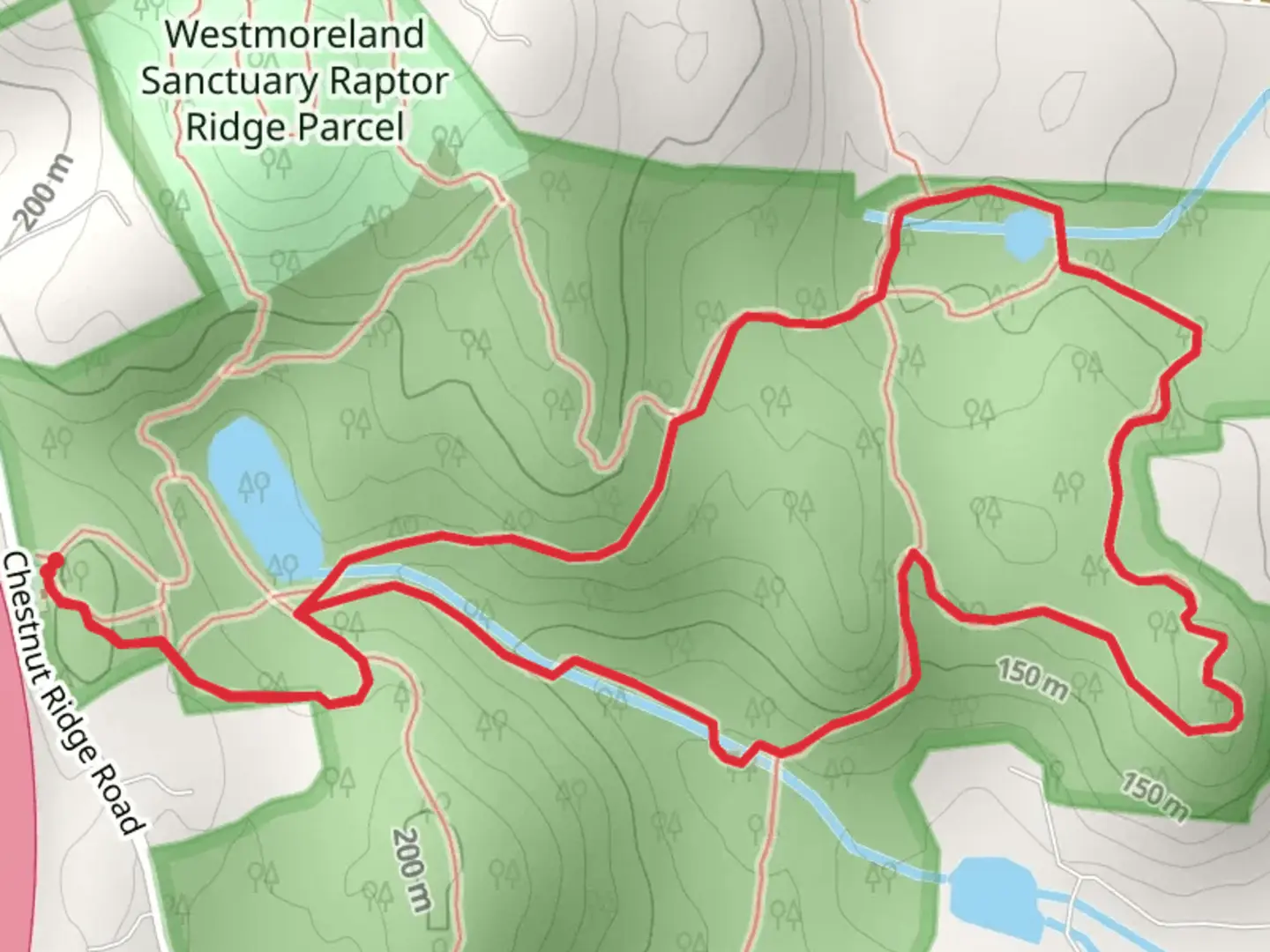 An image depicting the trail Chestnut Ridge Road Loop and its surrounding area.