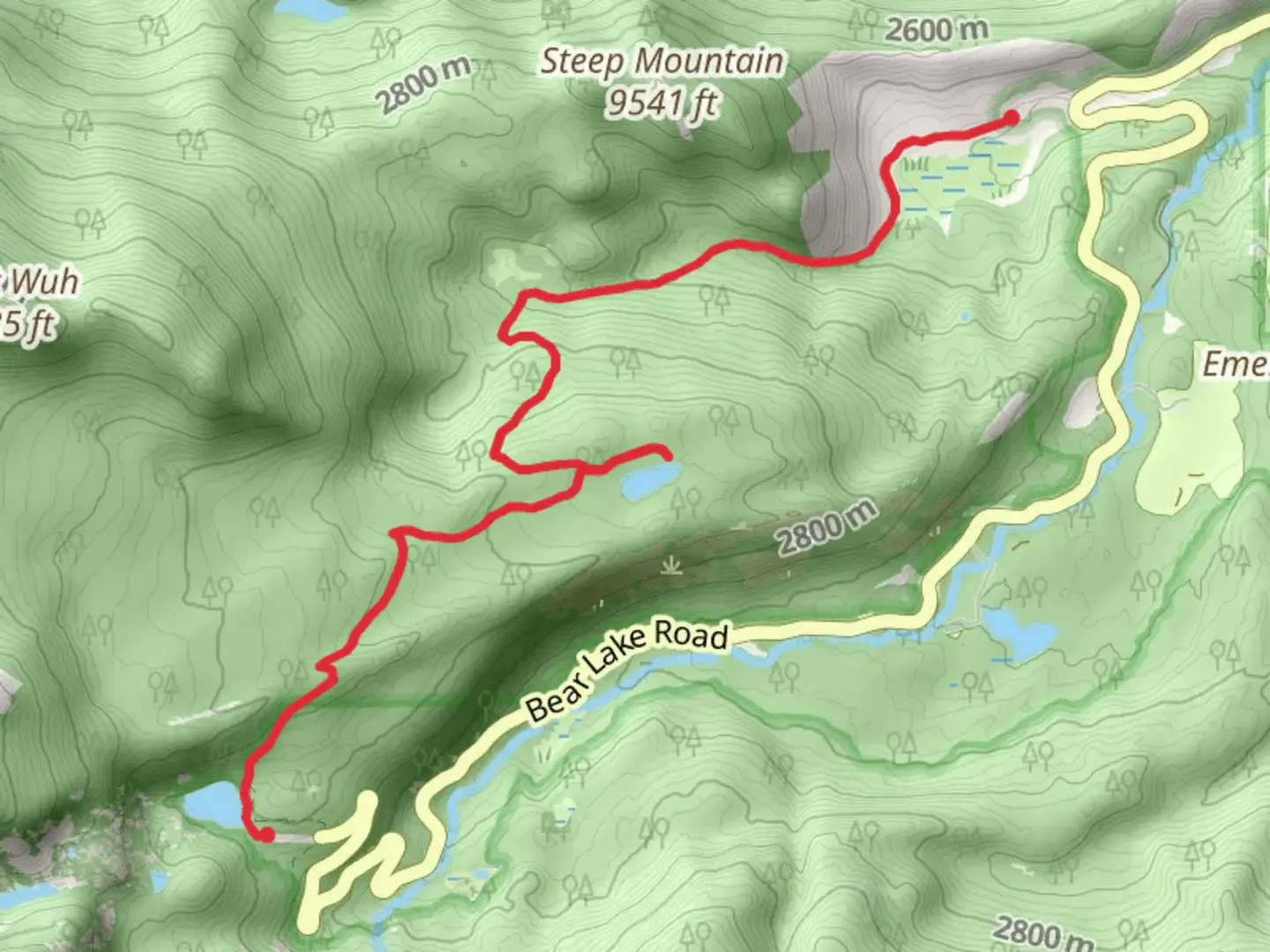 An image depicting the trail Bear Lake, Bierstadt Lake and Mill Creek Basin Trail and its surrounding area.