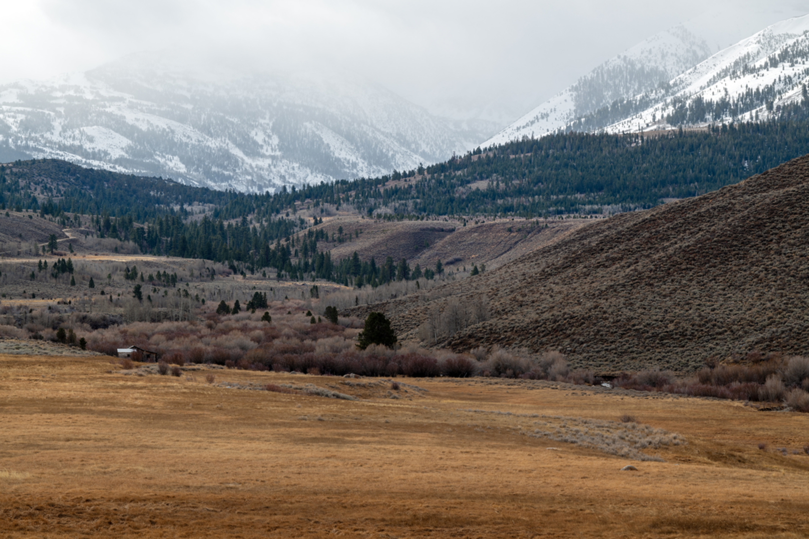 An image depicting the trail Anna Lake via Burt Canyon Trail and its surrounding area.