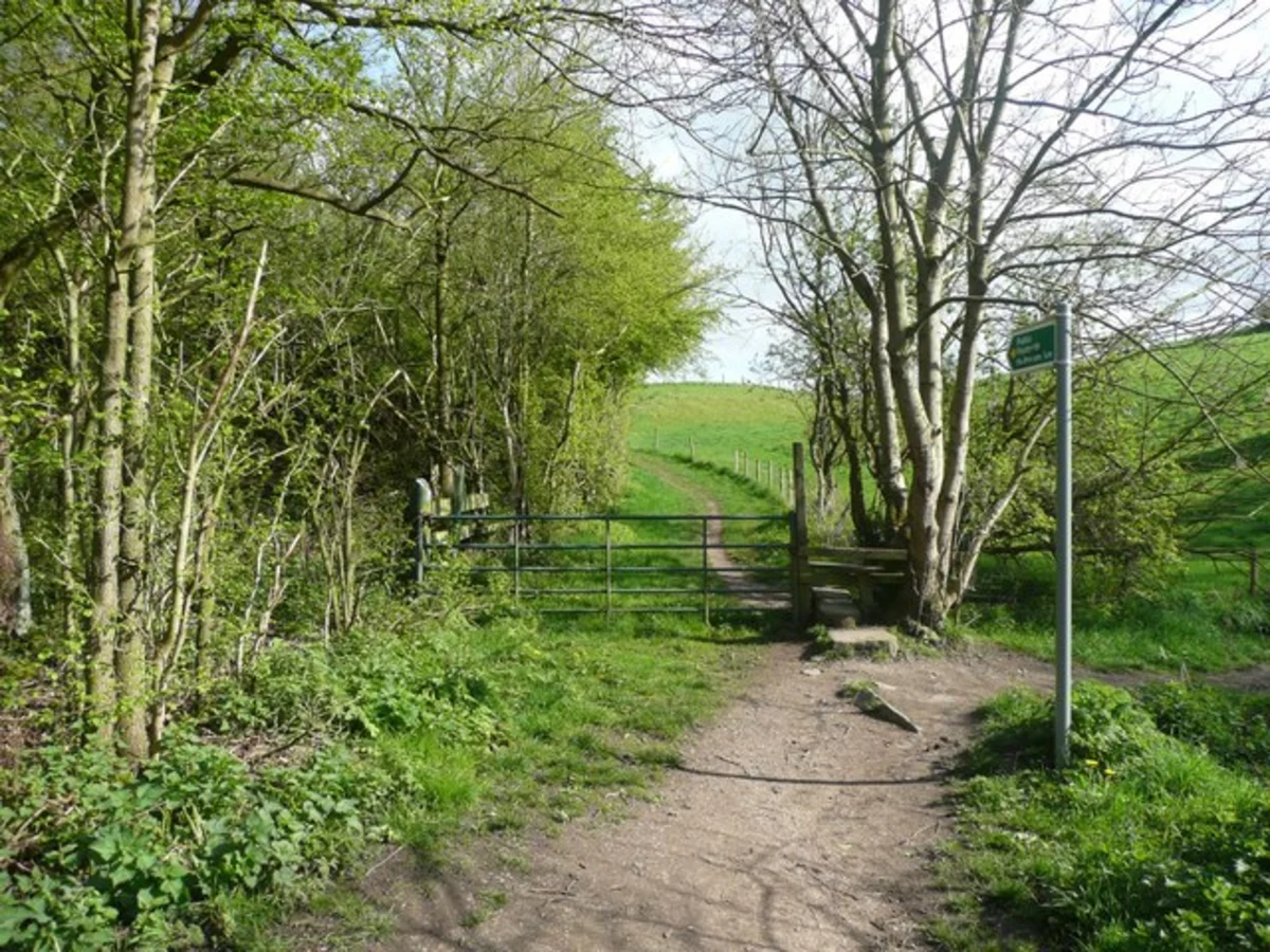Stoneycliffe Wood Nature Reserve Loop