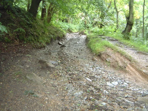 An image depicting the trail Beacon Fell Country Park, Brook Mill and Inglewhite Loop and its surrounding area.