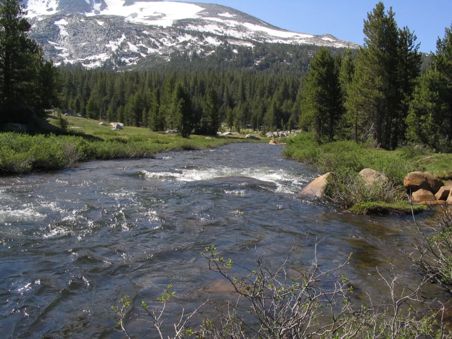 An image depicting the trail Paper Cabin to Tuolumne River Trail and its surrounding area.