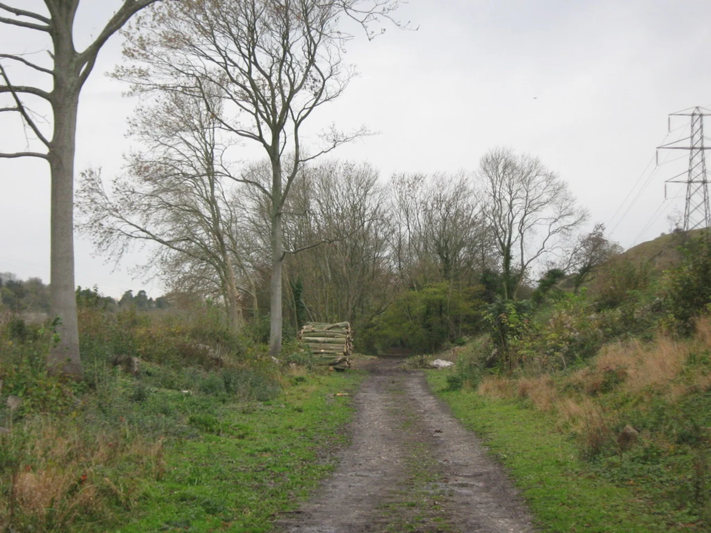 An image depicting the trail Tolsford Hill and Etchinghill Loop and its surrounding area.