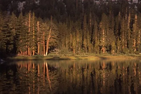 An image depicting the trail Joe Crane Lake and Cora Lakes via Isberg Trail and its surrounding area.