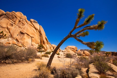 An image depicting the trail Untitled Track 145 Trail and its surrounding area.