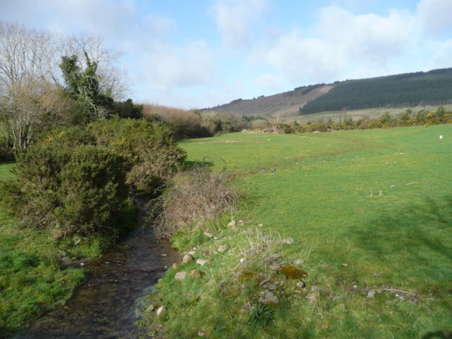 An image depicting the trail Blackwater Forest Trail and its surrounding area.