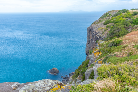 The Nut Circuit Trail