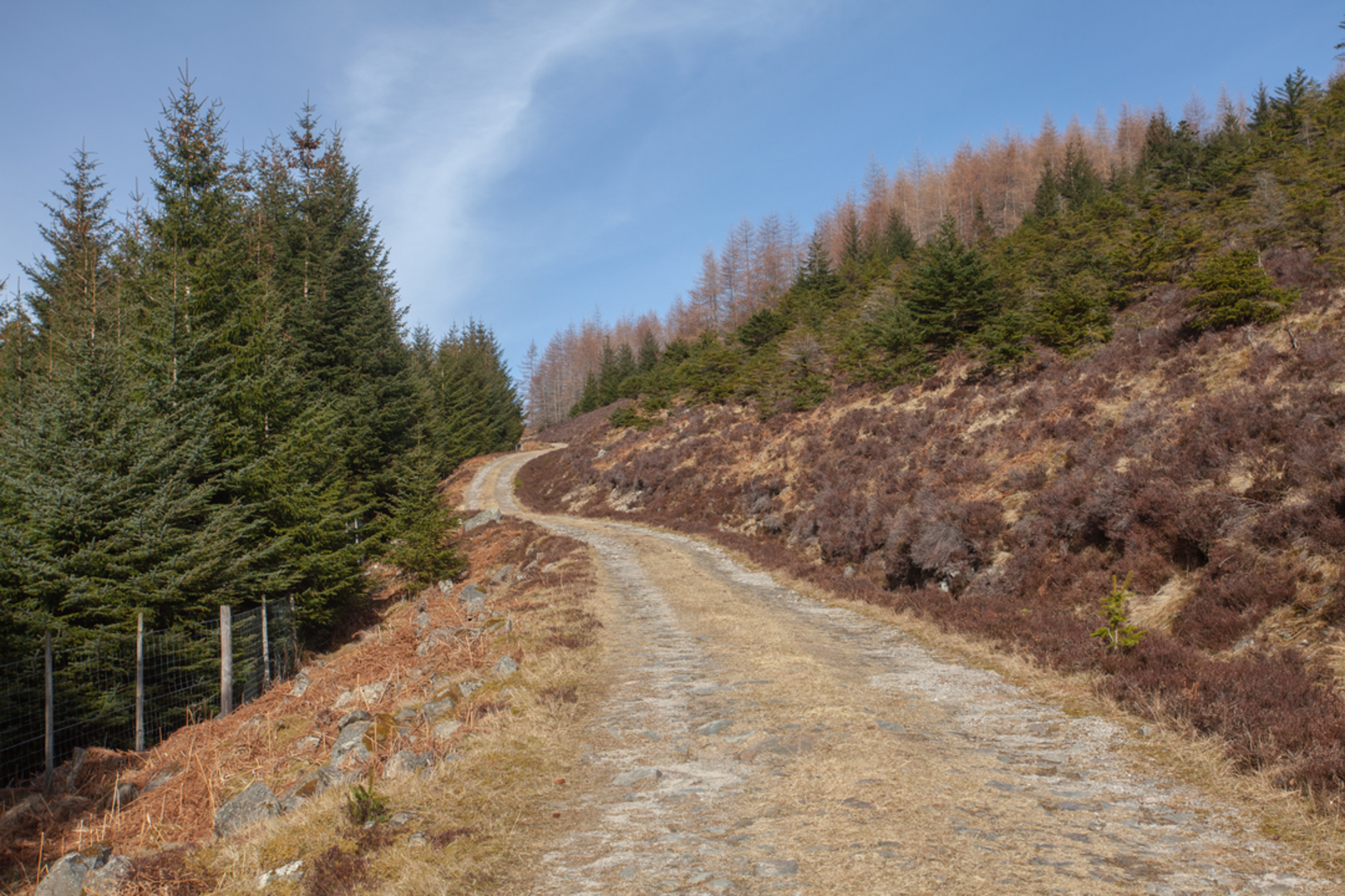 An image depicting the trail Meall Na Aighean and its surrounding area.