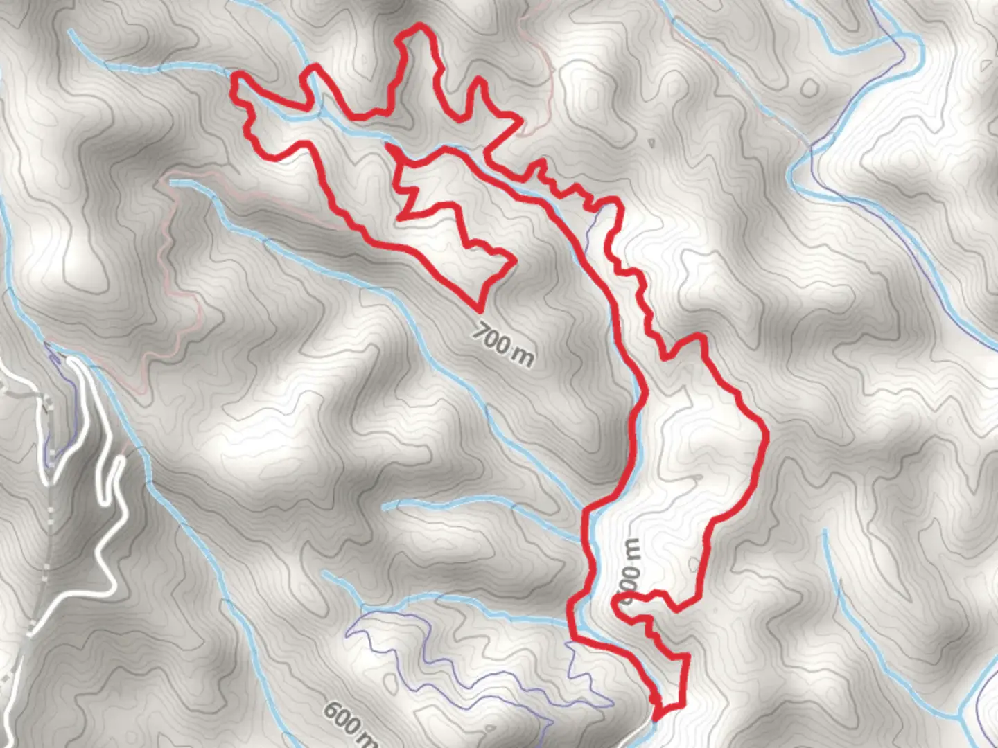An image depicting the trail Bear Creek Loop and its surrounding area.