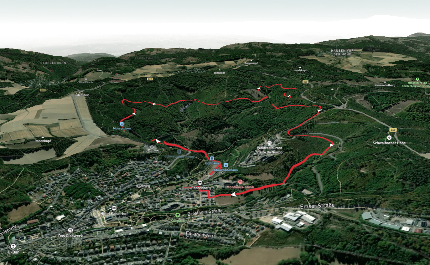 Waldsee Loop via Wanderweg Blauer Punkt