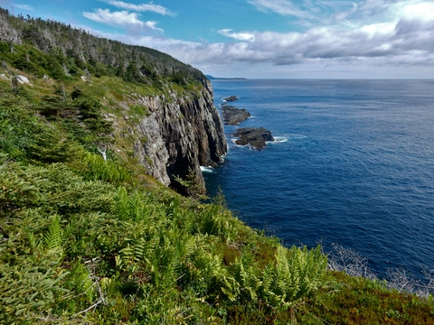 East Coast Trail