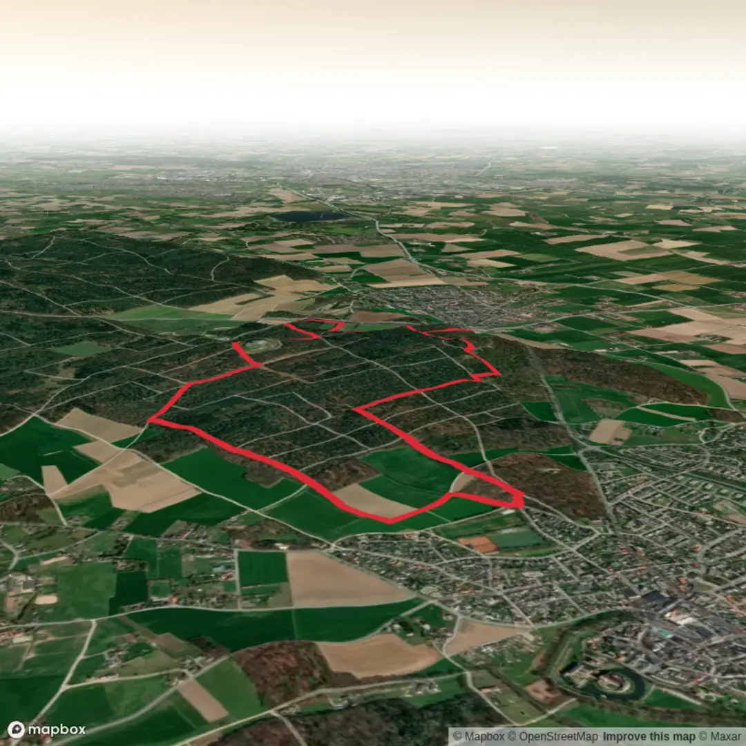 An image depicting the trail Landgoed Montferland and Galgenberg Loop and its surrounding area.