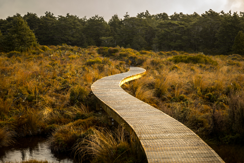 Lower Silicia Springs Track