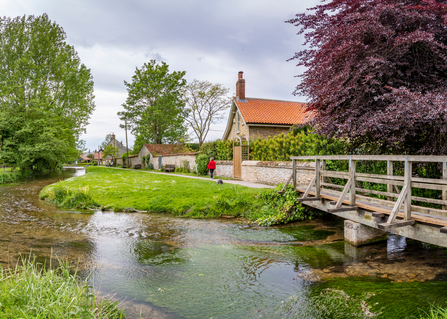 An image depicting the trail Thornton Le Dale and Ellerburn Walk and its surrounding area.