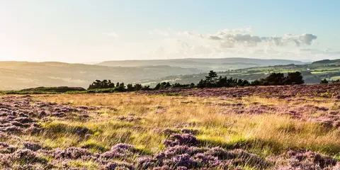 An image depicting the trail Ilkley Moor - Swastika Stone - Doubler Stones and Rombalds Moor and its surrounding area.