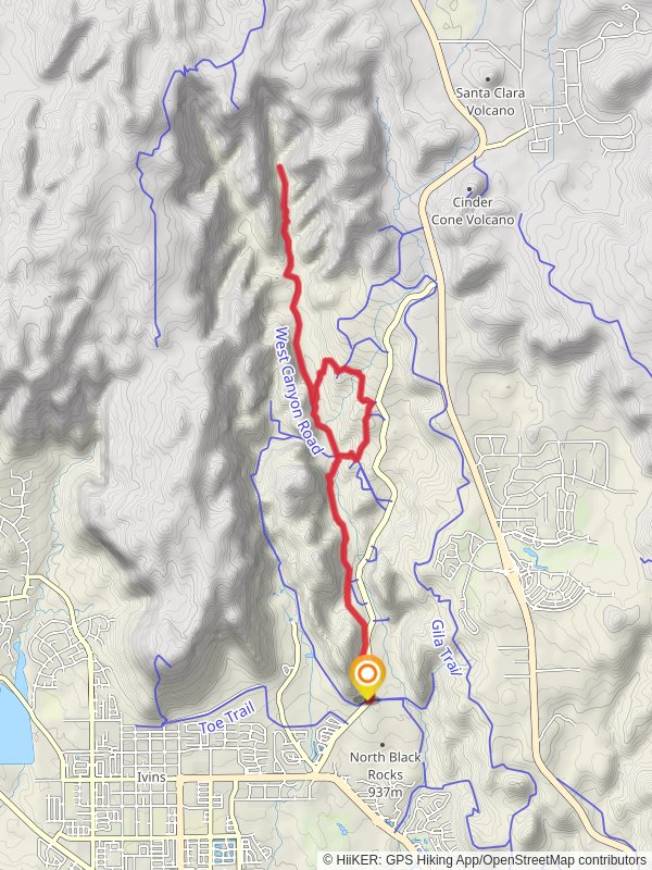 Petrified Dunes Trail, Butterfly Trail and West Canyon Road