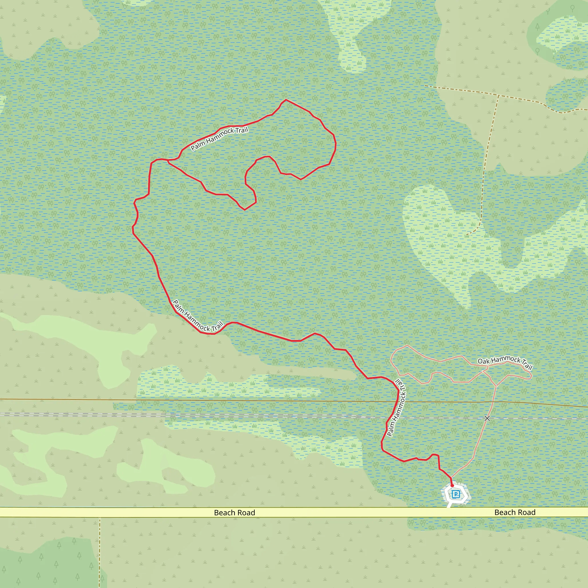 Palm Hammock Loop Trail mobile static map