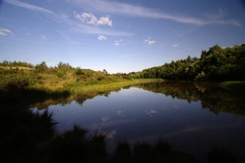 An image depicting the trail New Lount Nature Reserve Loop and its surrounding area.