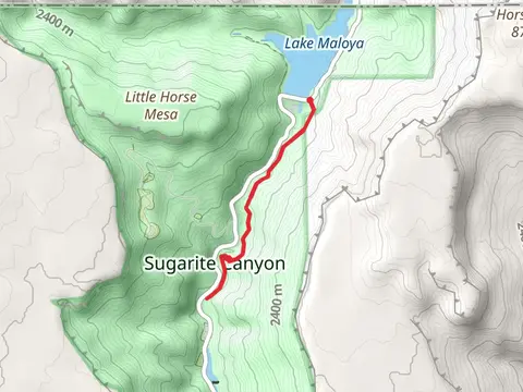 Chicorica Creek via Lake to Lake Trail