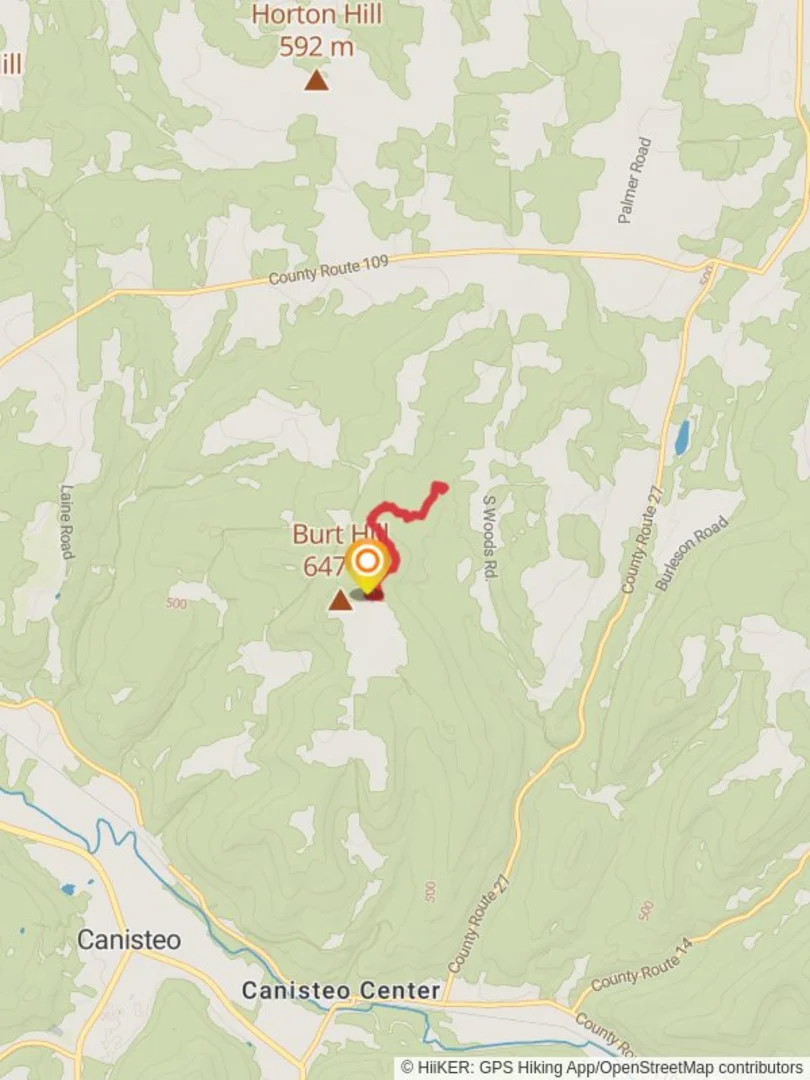 An image depicting the trail Burt Hill Road Trail - Northeast and its surrounding area.