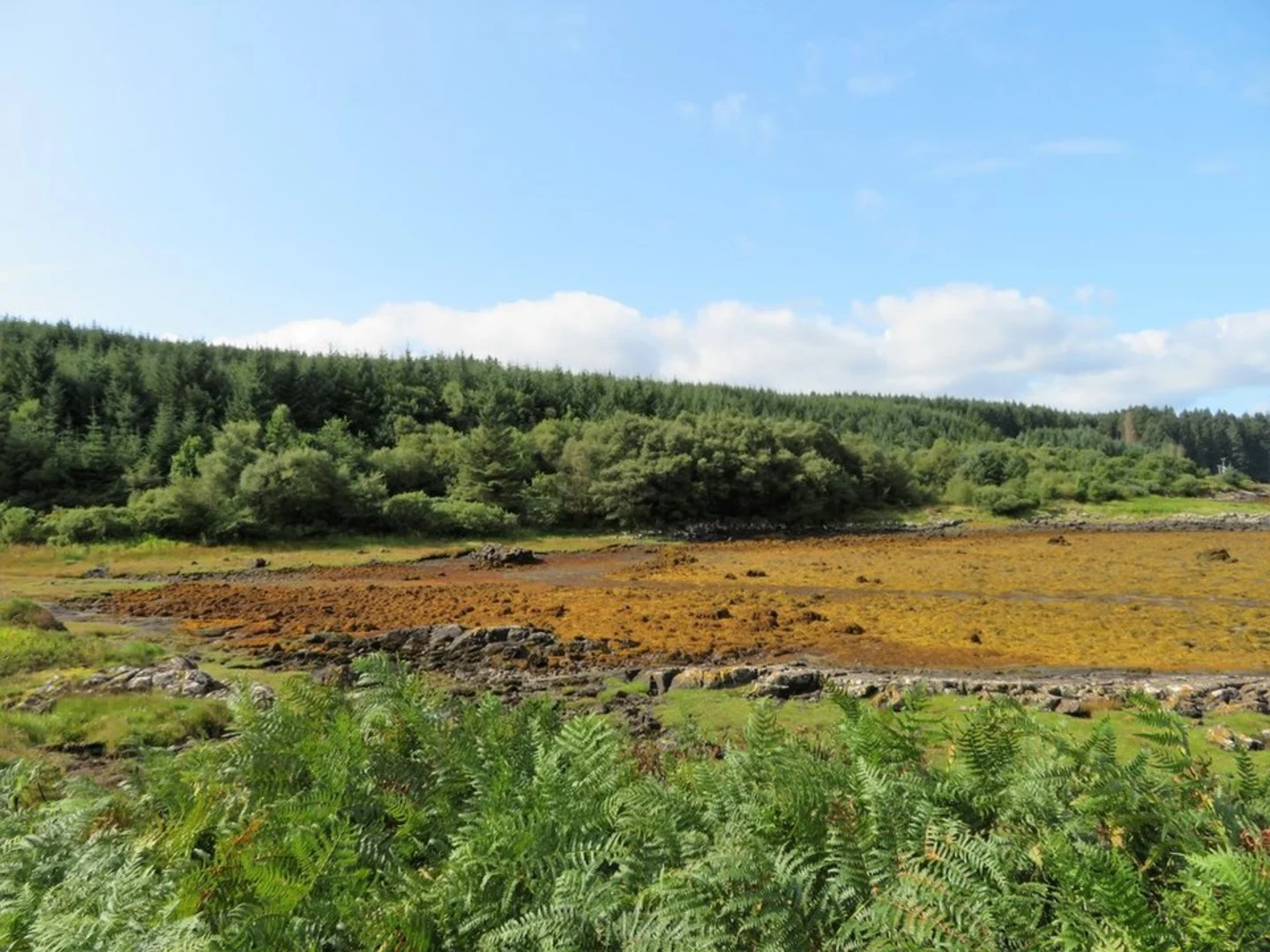 An image depicting the trail Isle of Mull East Coastal Trail and its surrounding area.