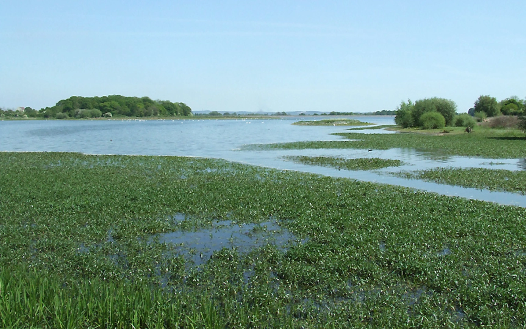 An image depicting the trail Belvide Reservoir Loop and its surrounding area.