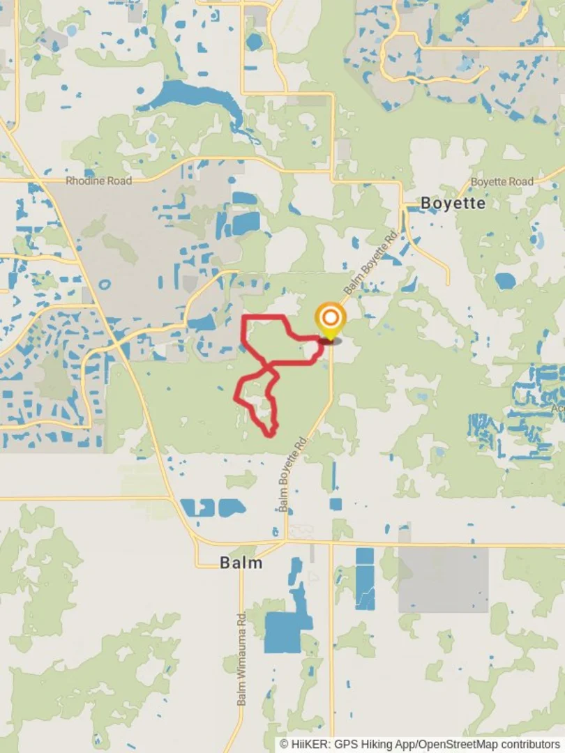 An image depicting the trail Balm Boyette Scrub Trail Loop and its surrounding area.