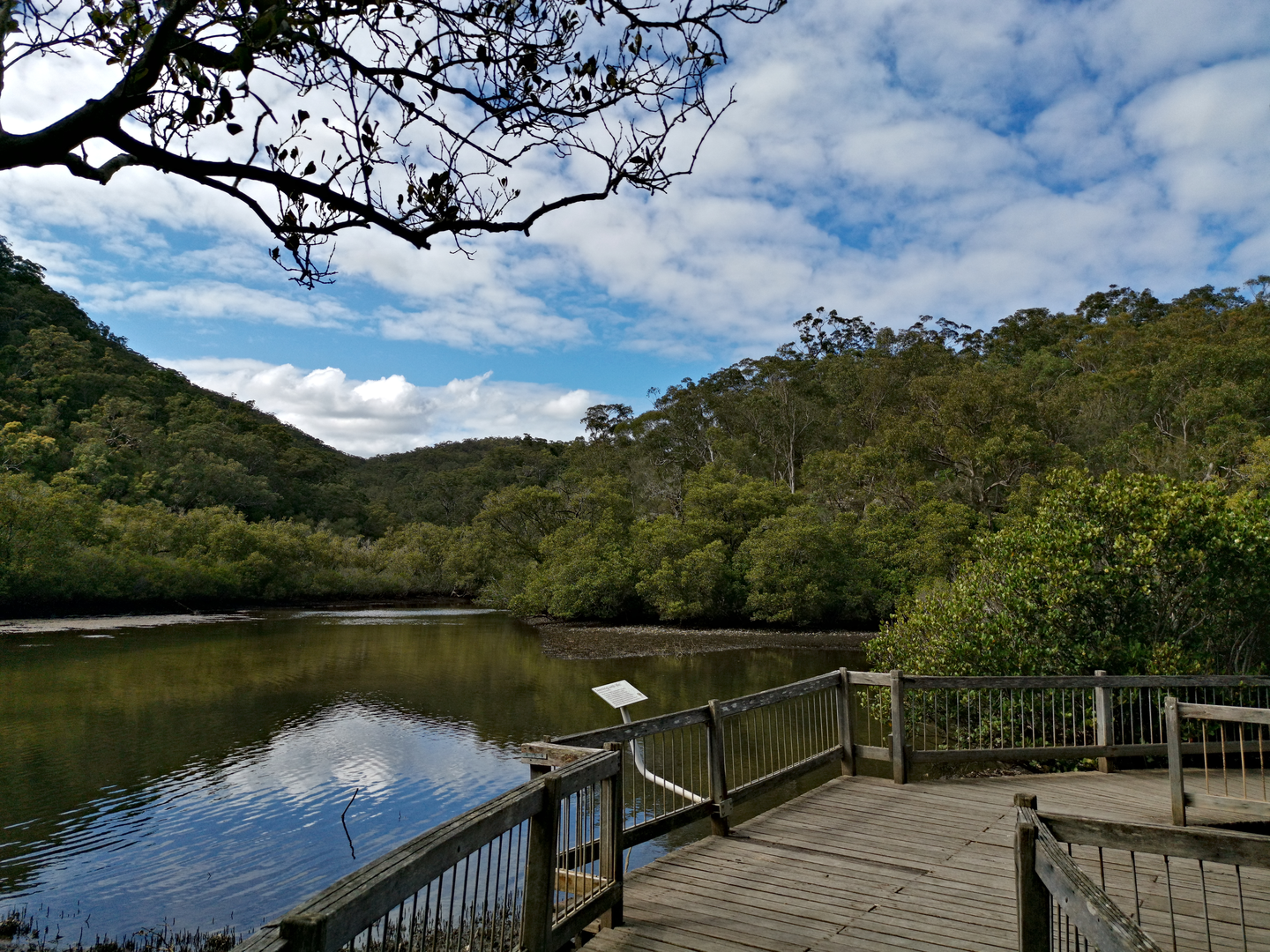 An image depicting the trail Berowra Track to Apple Tree Bay and its surrounding area.