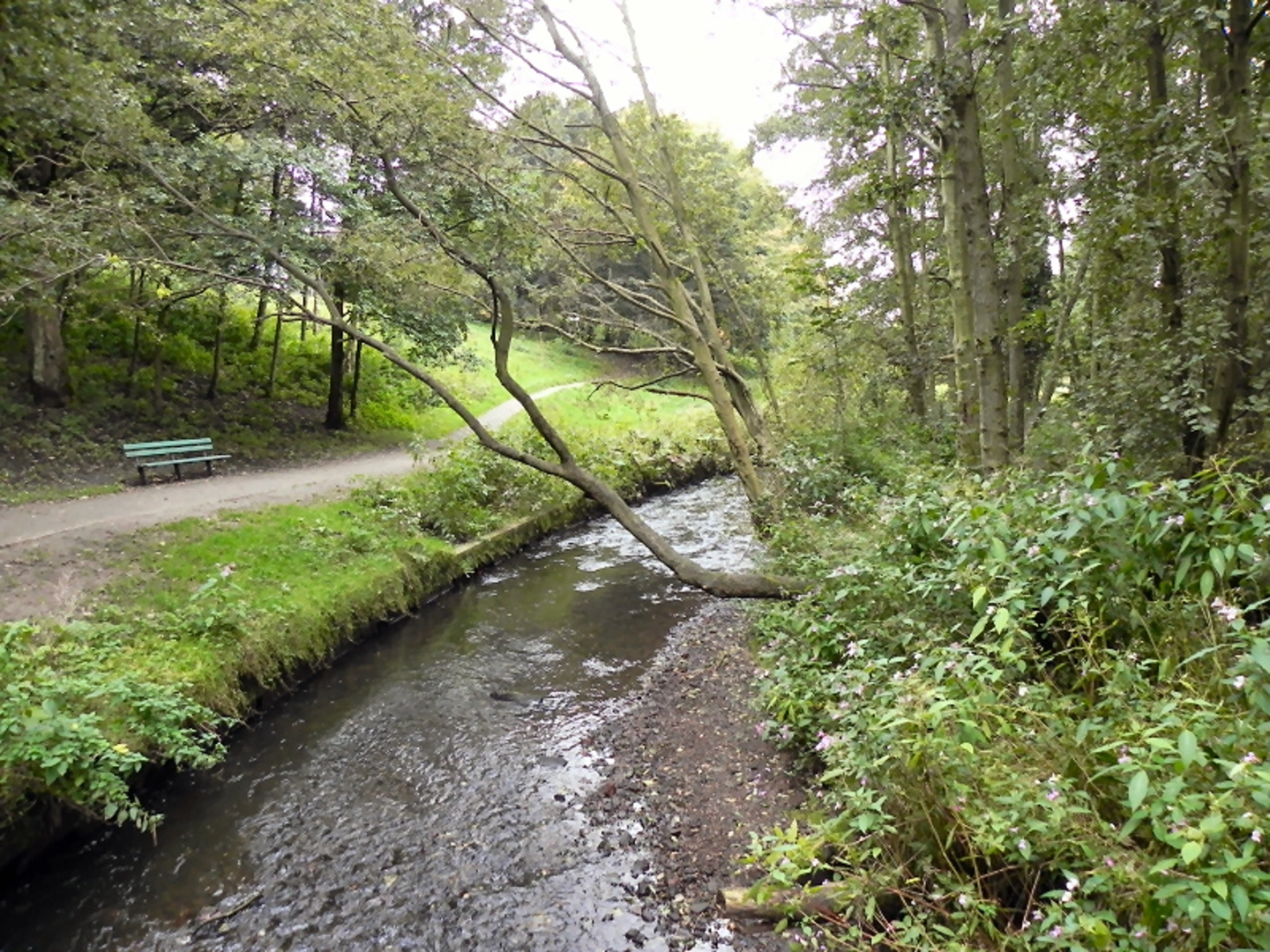 An image depicting the trail Chadderton Hall Park Loop and its surrounding area.