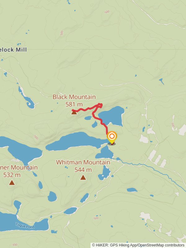 Black Mountain Trail from Pushineer Pond