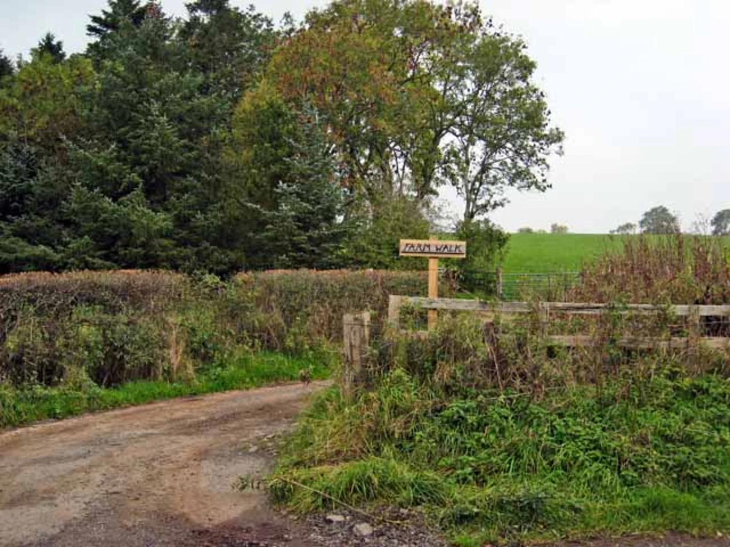 An image depicting the trail Roughton Loop and its surrounding area.
