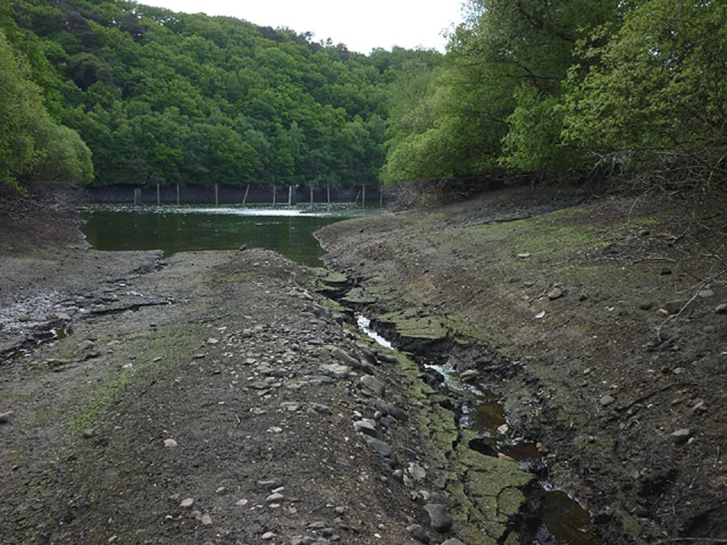 An image depicting the trail Nicky Nook Loop from Wyresdale Park and its surrounding area.