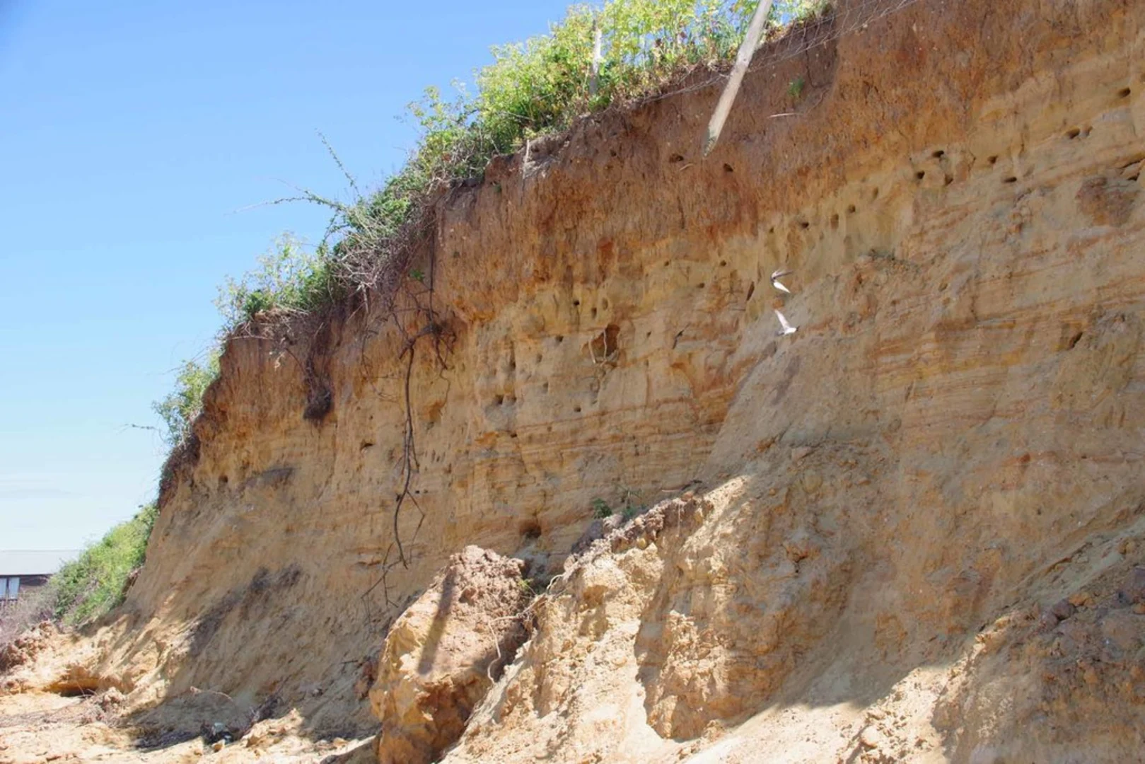 An image depicting the trail East Grove and Oakfield Wood Loop and its surrounding area.