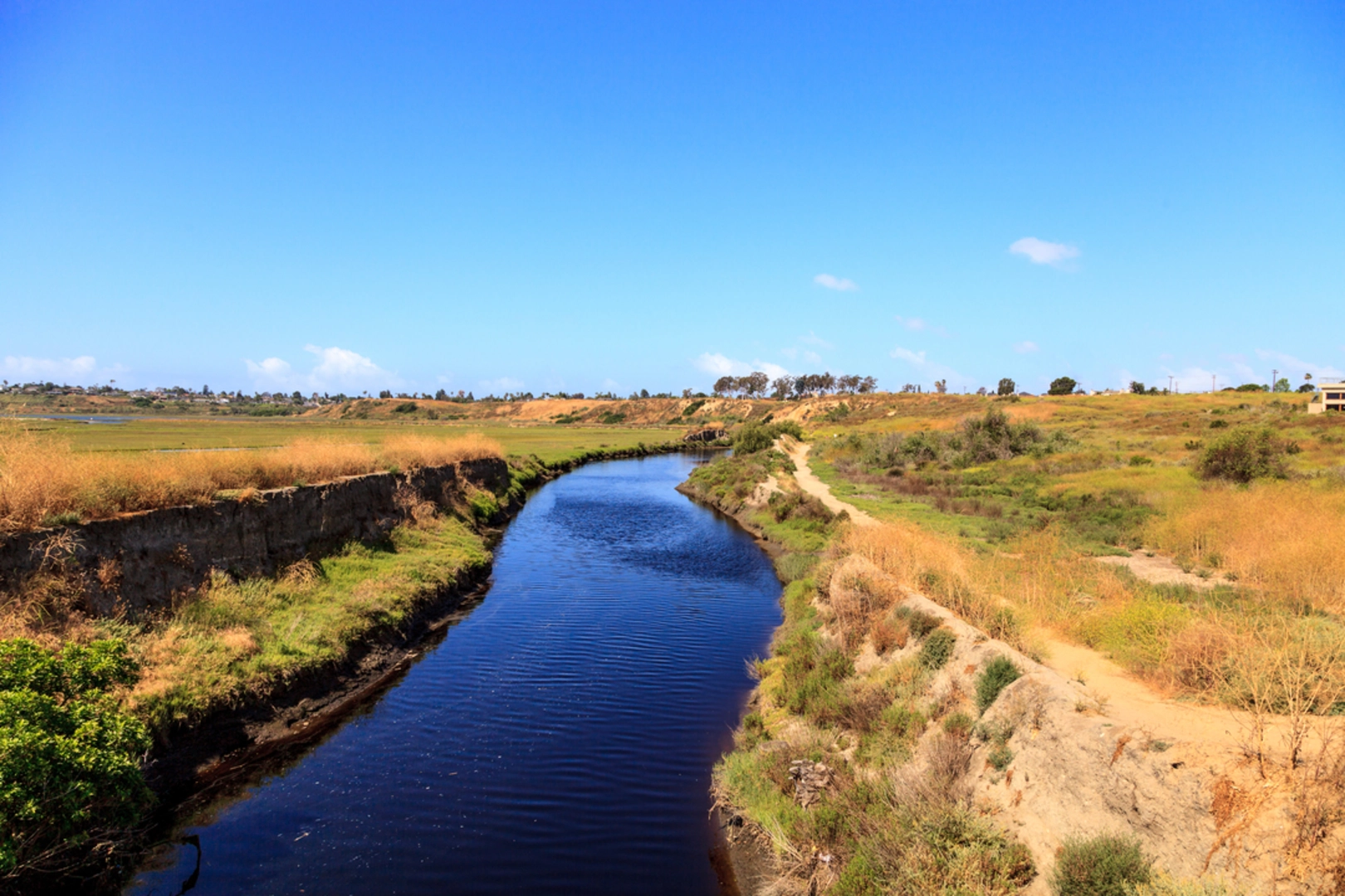 An image depicting the trail Upper Newport Bay Nature Preserve Loop and its surrounding area.
