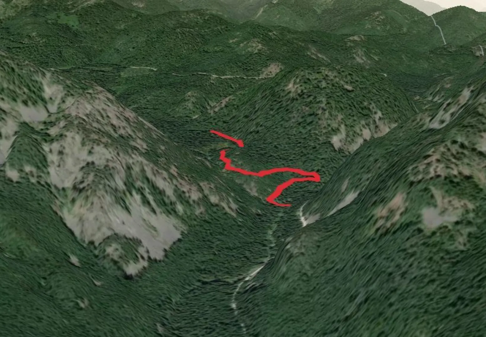An image depicting the trail Granite-roosevelt-cedar Grove Trail and its surrounding area.